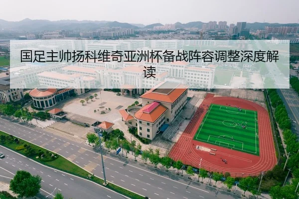 国足主帅扬科维奇亚洲杯备战阵容调整深度解读