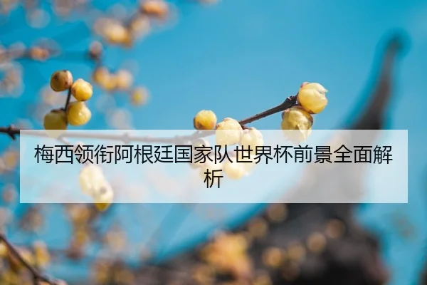 mei-xi-ling-xian-a-gen-ting-guo-jia-dui-shi-jie-bei-qian-jing-quan-mian-jie-xi-2-638.jpg