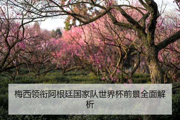 梅西领衔阿根廷国家队世界杯前景全面解析